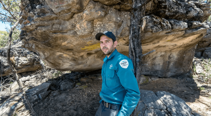 SMH Rediscovered rock art reveals an ancient monster