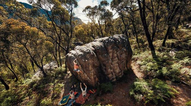 A Story From the Valley of the Giants