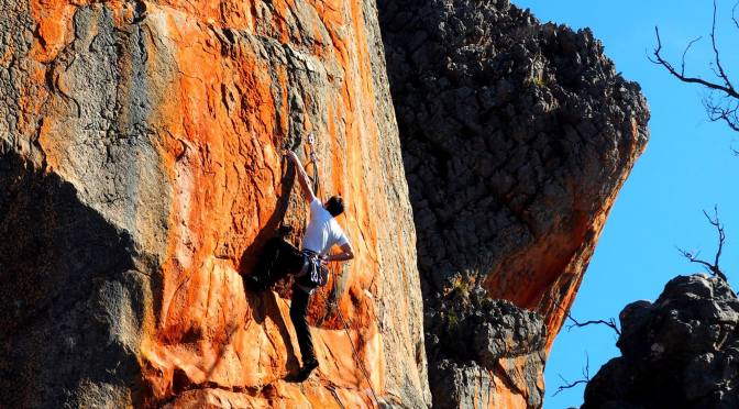 Last Person on the Planet